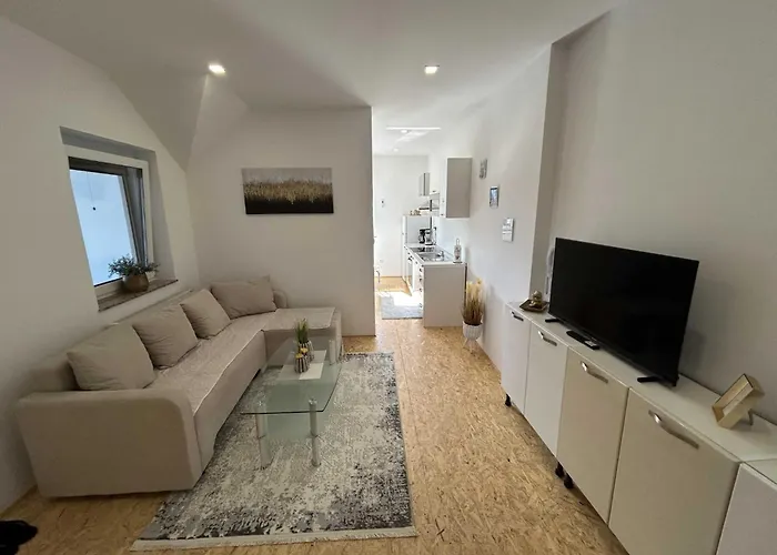 Apartment Modern And Vibrant